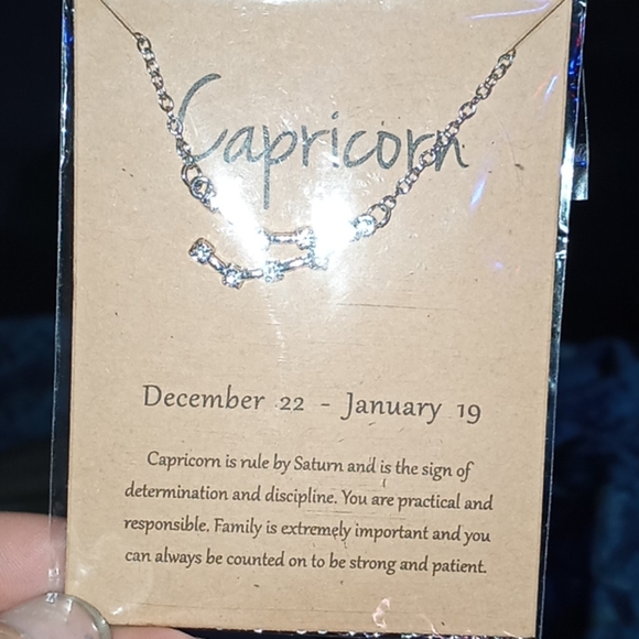 Zodiac Constellation (CAPRICORN) Necklace - Picture 6 of 6